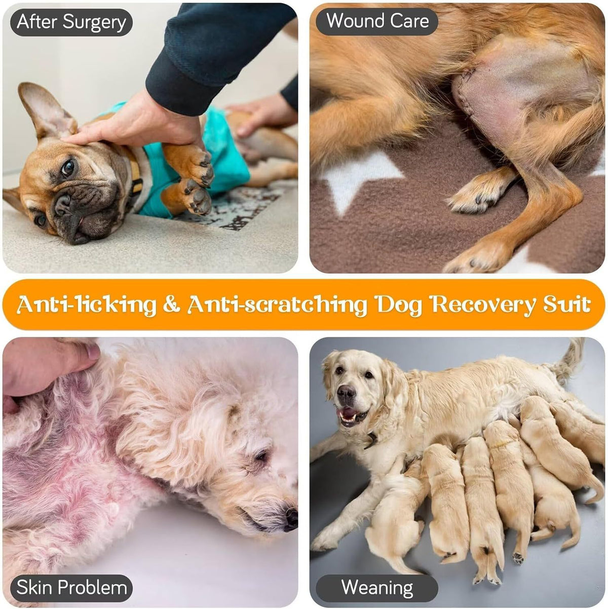 Soft dog recovery suit