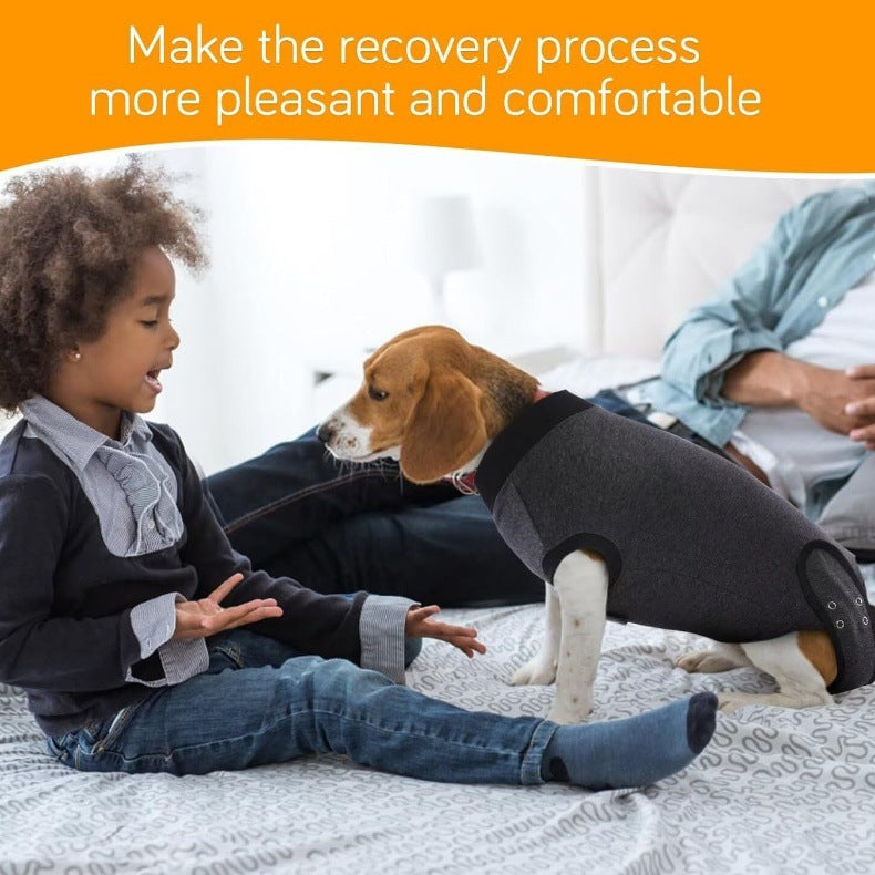 Soft dog recovery suit